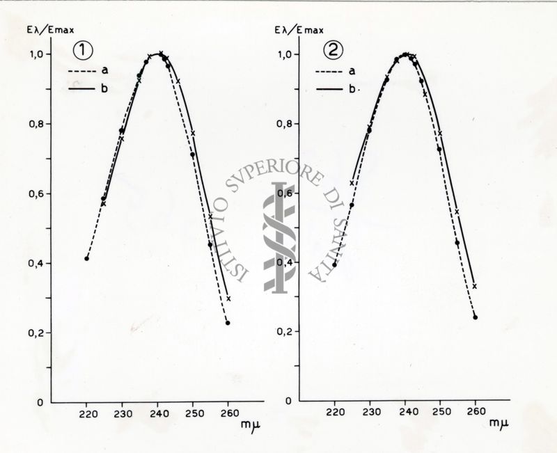 Spettri di assorbimento del testosterone e del progesterone dopo cromatografia su carta