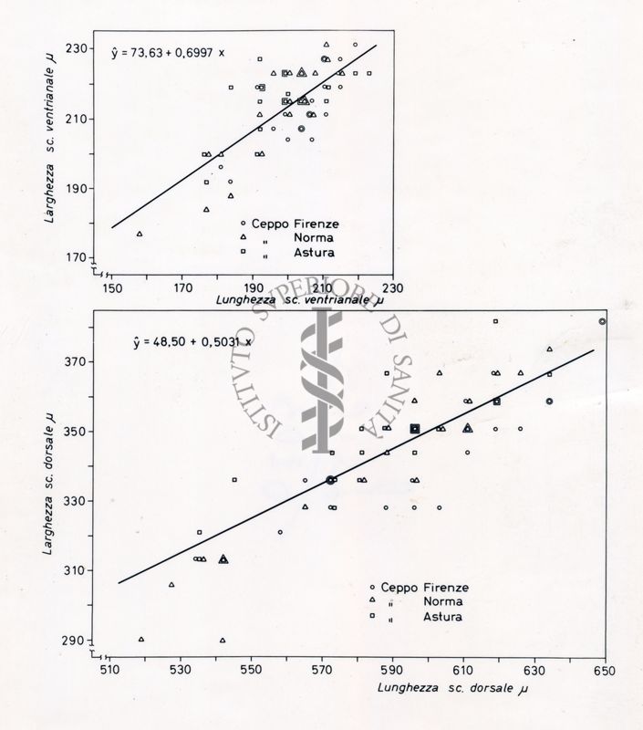 Grafici da studio su osservazioni morfometriche in acari delle specie Holostapella exornata e H. ornata (altri ceppi). Grafico in alto: sull'asse delle ordinate, larghezza sc. ventrianale e sull'asse delle ascisse lunghezza sc. ventrianale. Grafico in basso: sull'asse delle ordinate, larghezza sc. dorsale e sull'asse delle ascisse, lunghezza sc. dorsale