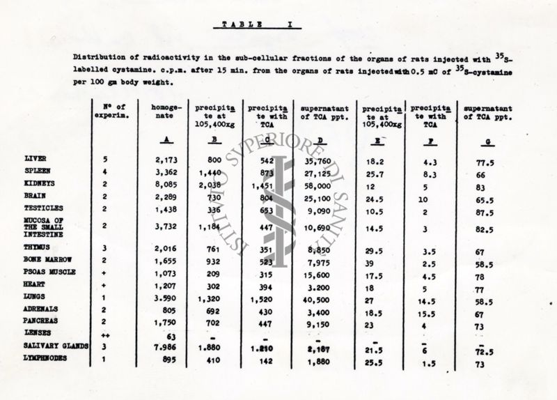 Distribuzione della Cistamina S 35 negli organi del ratto