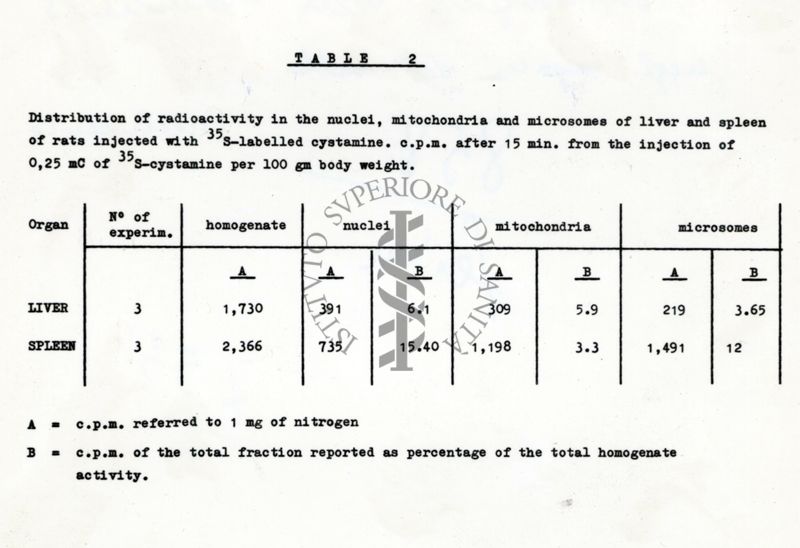 Distribuzione della Cistamina S35 negli organi del ratto