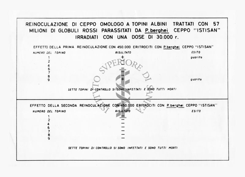 Tabella dei dati relativi ad uno studio di inoculazione di Plasmodium berghei su topo