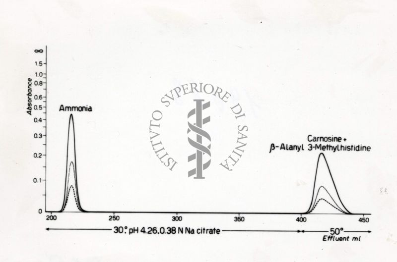 Identificazione della B. alanin 3 metilistidina negli estratti di carne di balena