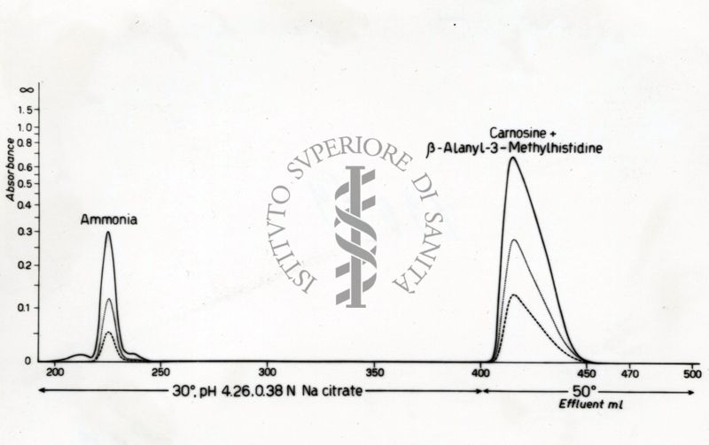 Identificazione della B. alanin 3 metilistidina negli estratti di carne di balena