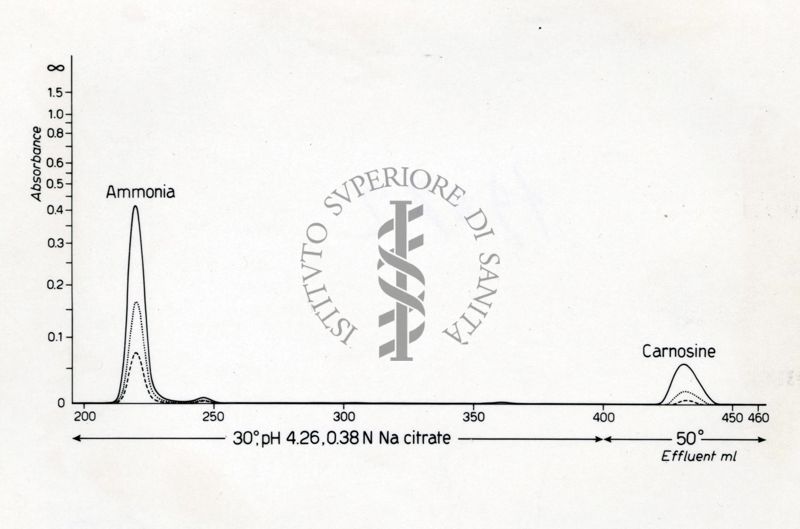 Identificazione della B. alanin 3 metilistidina negli estratti di carne di balena