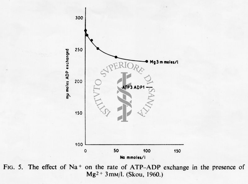 Grafici con didascalia autoesplicativa, studio di fisiologia cellulare. L'effetto del sodio sul tasso di scambio ATP-ADP in presenza di Magnesio. Grafico: asse delle ordinate, m-gamma moles ADP scambiato; asse delle ascisse, sodio mmoles/l