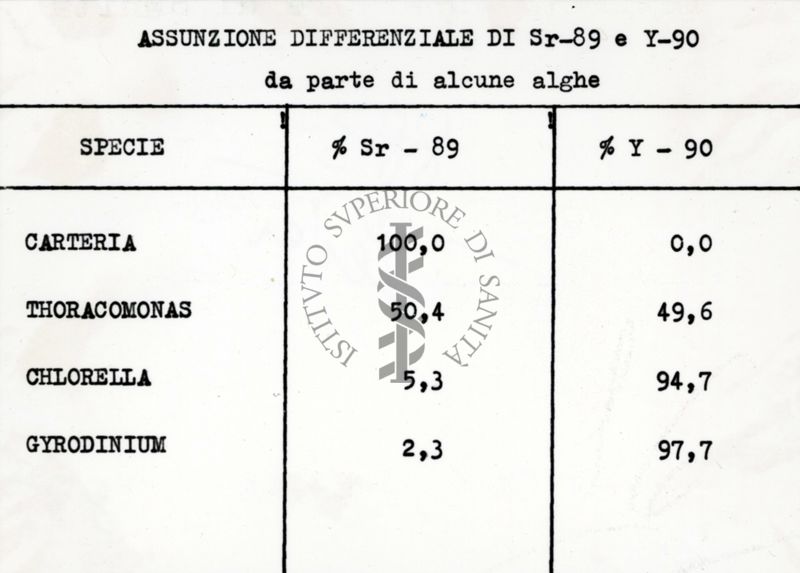 Assunzione differenziale di Sr-89 e Y-90 da parte di alcune alghe