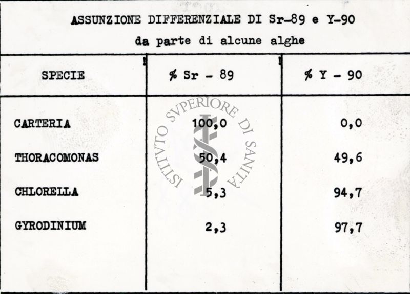 Assunzione differenziale di Sr-89 e Y-90 da parte di alcune alghe