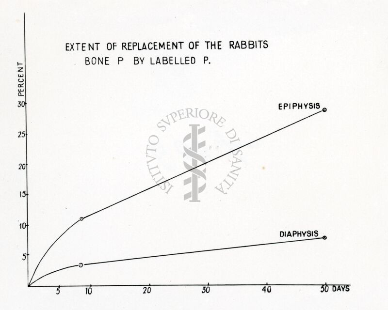 Grafico