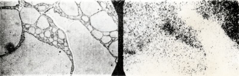 Storia delle applicazioni degli indicatori radioattivi