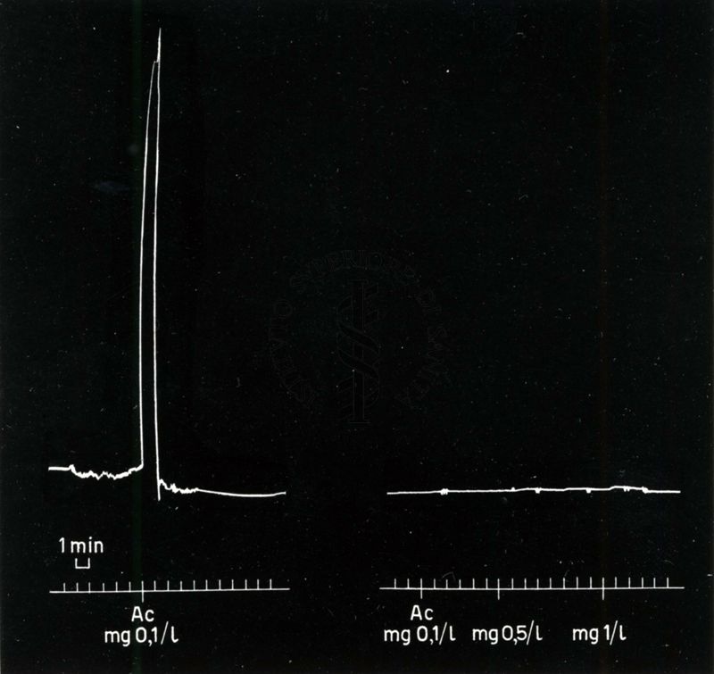 grafici