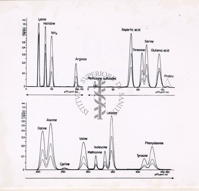 grafici