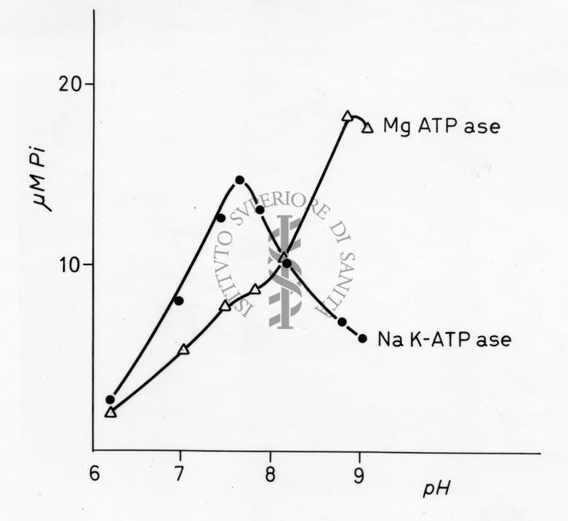 Grafico sui livelli di magnesio (ATP ase) e sodio (K-ATP ase). Asse delle ordinate: gamma M Pi, asse delle ascisse pH