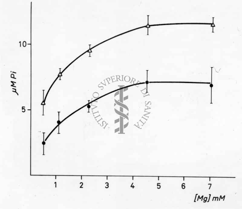 Grafico: Asse delle ordinate: gamma M Pi, asse delle ascisse [Mg] mM