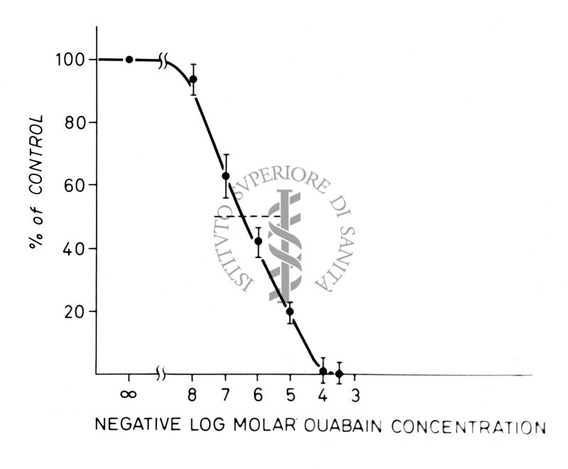 Grafico sulla concentrazione di Oubaina rispetto ad una percentuale di riferimento. Asse delle ordinate: % di riferimento; asse delle ascisse: concentrazione di Oubaina