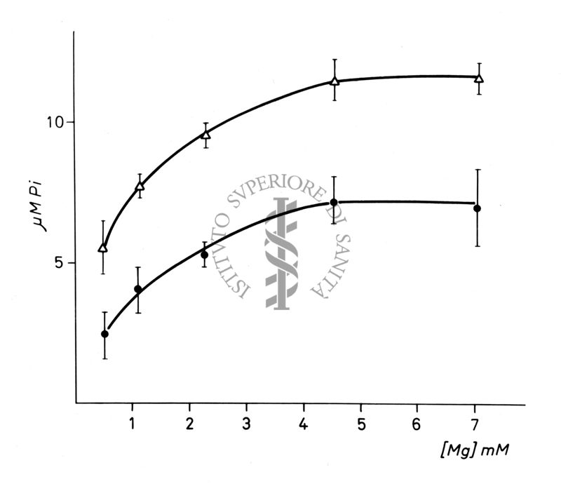 Grafico: Asse delle ordinate: gamma M Pi, asse delle ascisse [Mg] mM