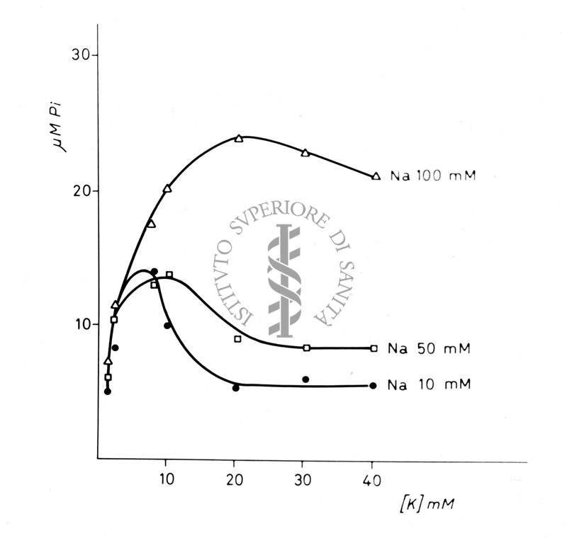 Grafico sui livelli di sodio: Na 10, Na 50 e Na 100 mM. Asse delle ordinate: gamma M Pi, asse delle ascisse [K] mM