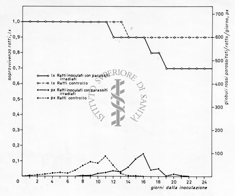 Grafico relativo ad uno studio sulla sopravvivenza in ratti inoculati con parassiti e ratti irradiati rispetto ad un controllo negativo. Asse delle ordinate: soprav