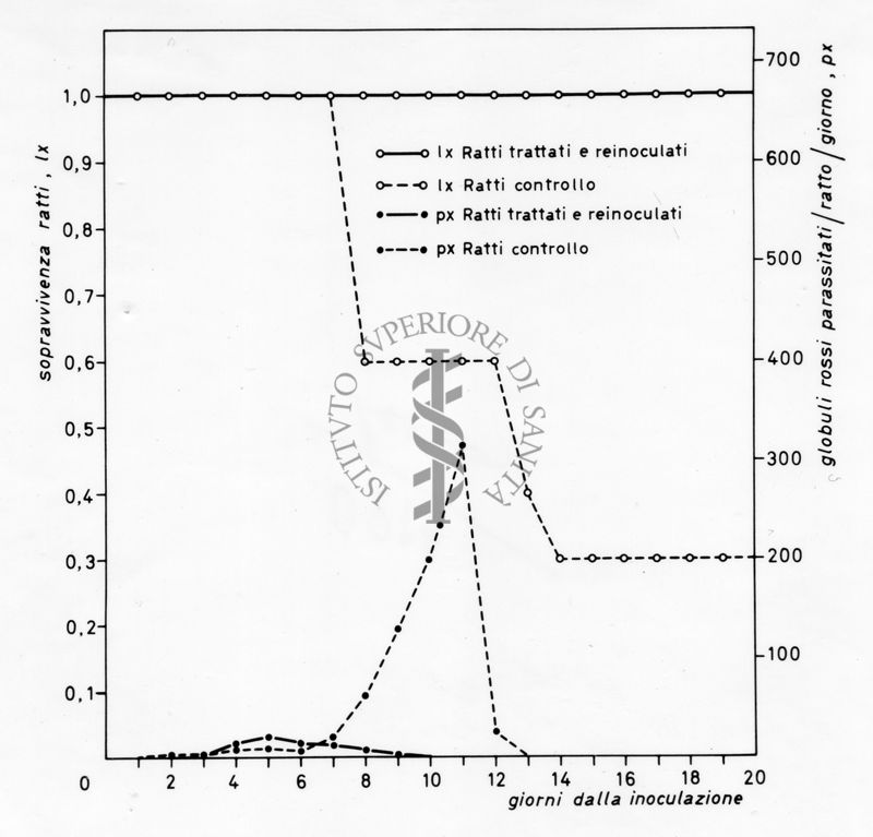 Grafico relativo ad uno studio sulla sopravvivenza in ratti inoculati con parassiti e ratti irradiati rispetto ad un controllo negativo. Asse delle ordinate: sopravvivenza ratti; asse delle ascisse: giorni dalla inoculazione