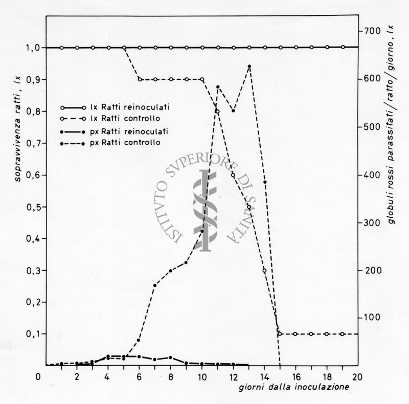 Grafico relativo ad uno studio sulla sopravvivenza in ratti inoculati con parassiti e ratti irradiati rispetto ad un controllo negativo. Asse delle ordinate: sopravvivenza ratti; asse delle ascisse: giorni dalla inoculazione