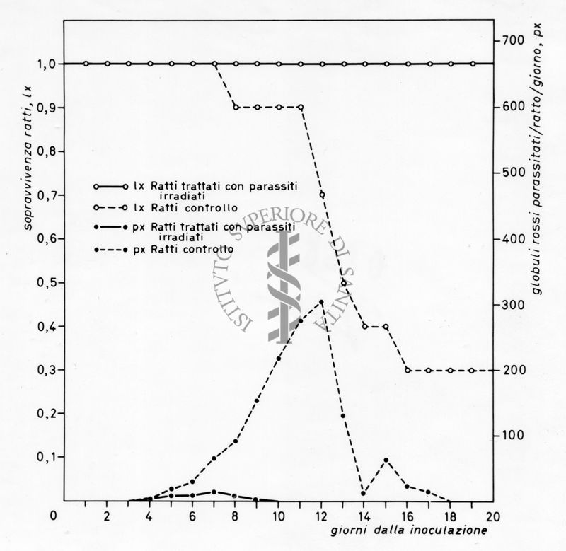 Grafico relativo ad uno studio sulla sopravvivenza in ratti inoculati con parassiti e ratti irradiati rispetto ad un controllo negativo. Asse delle ordinate: sopravvivenza ratti; asse delle ascisse: giorni dalla inoculazione