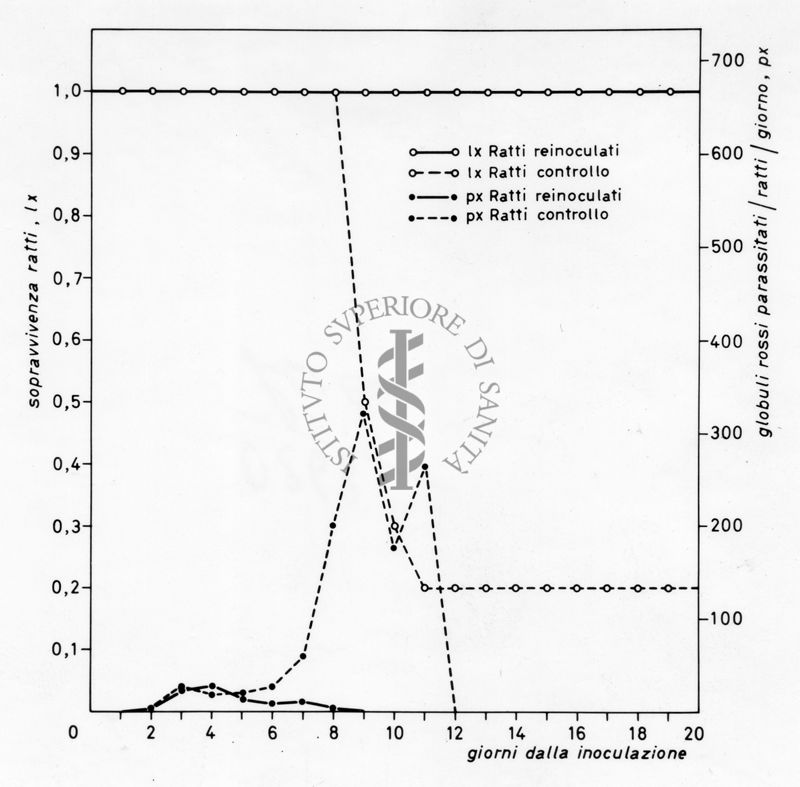 Grafico relativo ad uno studio sulla sopravvivenza in ratti inoculati con parassiti e ratti irradiati rispetto ad un controllo negativo. Asse delle ordinate: sopravvivenza ratti; asse delle ascisse: giorni dalla inoculazione