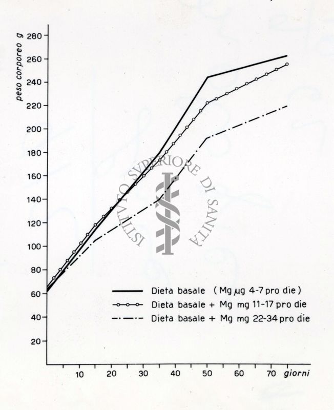 Grafico