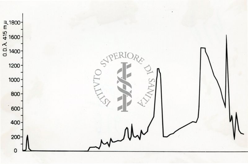 grafico