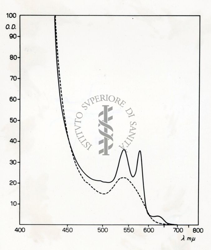 grafico