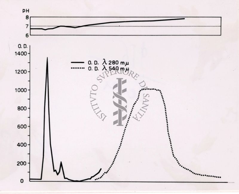 grafico