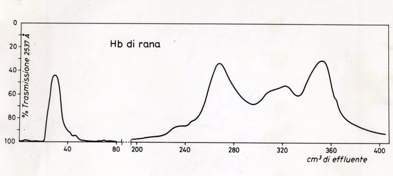 Grafico