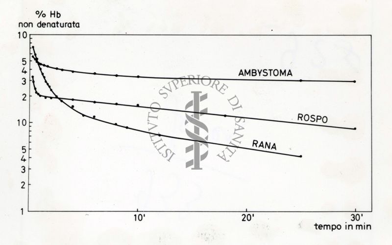 Grafico