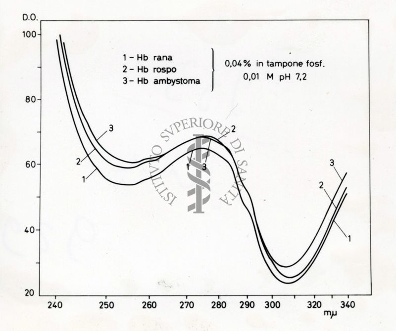 Grafico