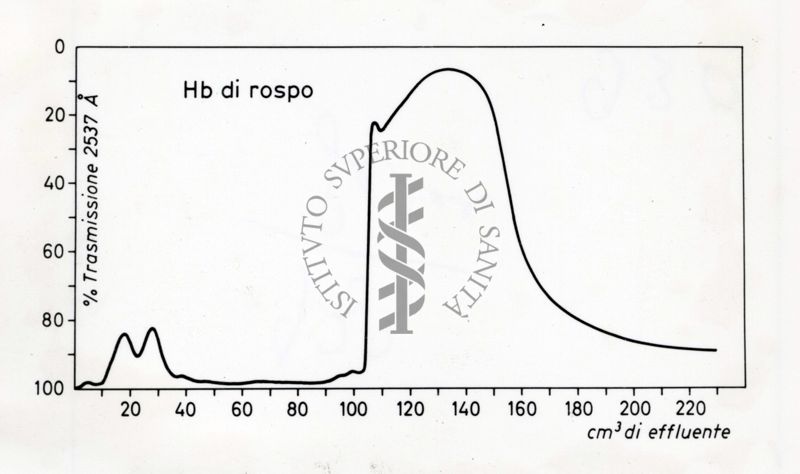 Grafico