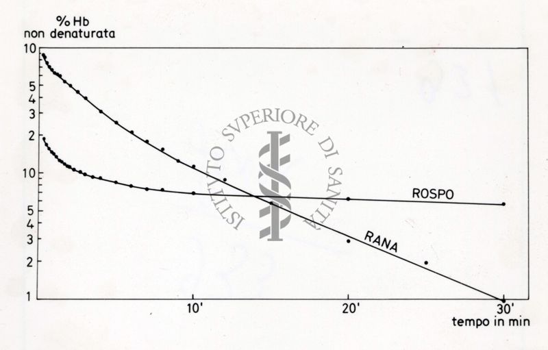 Grafico