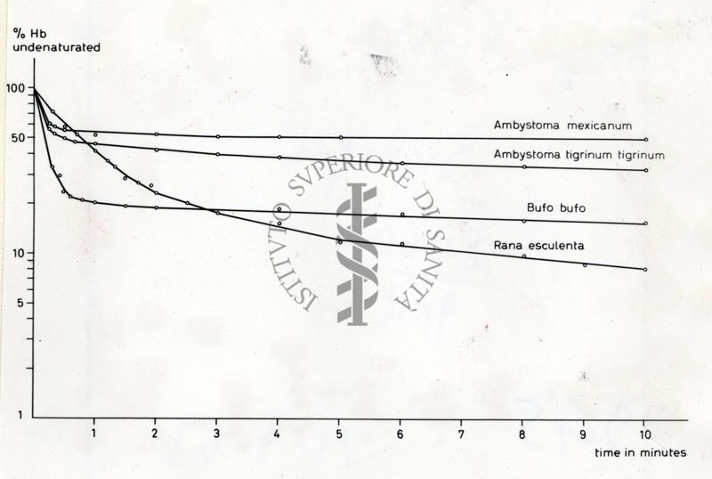 grafici