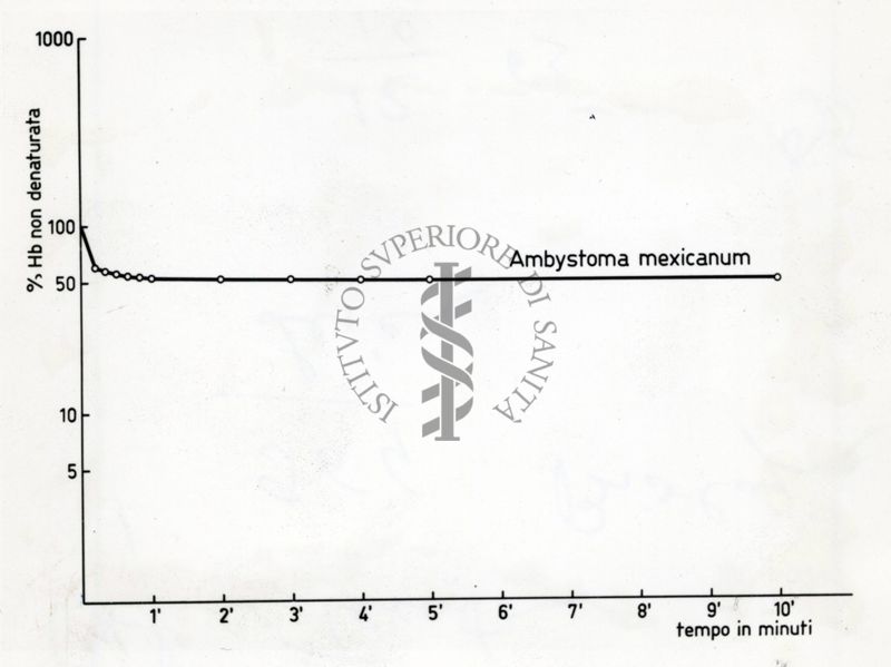 Grafici