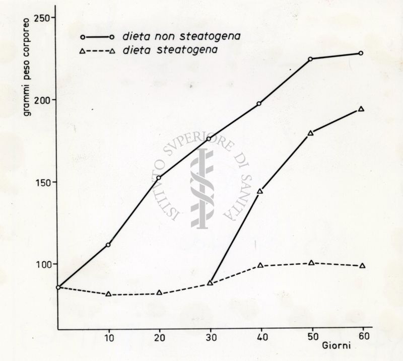 Grafico