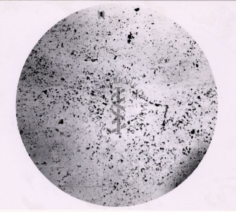 Microaglutinazioni di Virus
