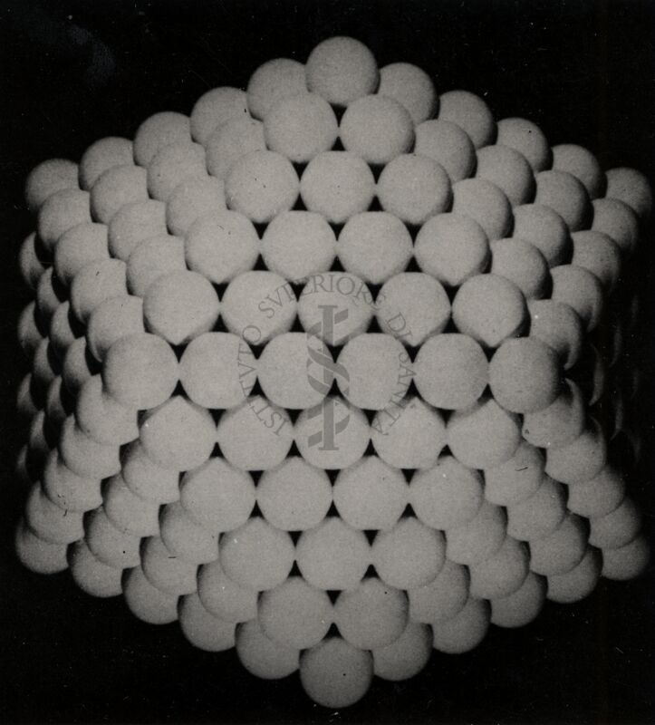 Morfologia di virus (schematico) - Riproduzione da libro