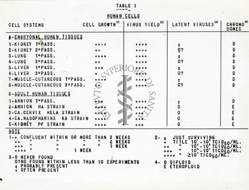 Riproduzione da copia dattilografica