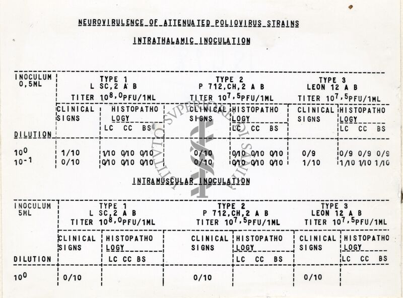 Riproduzione da copia dattilografica