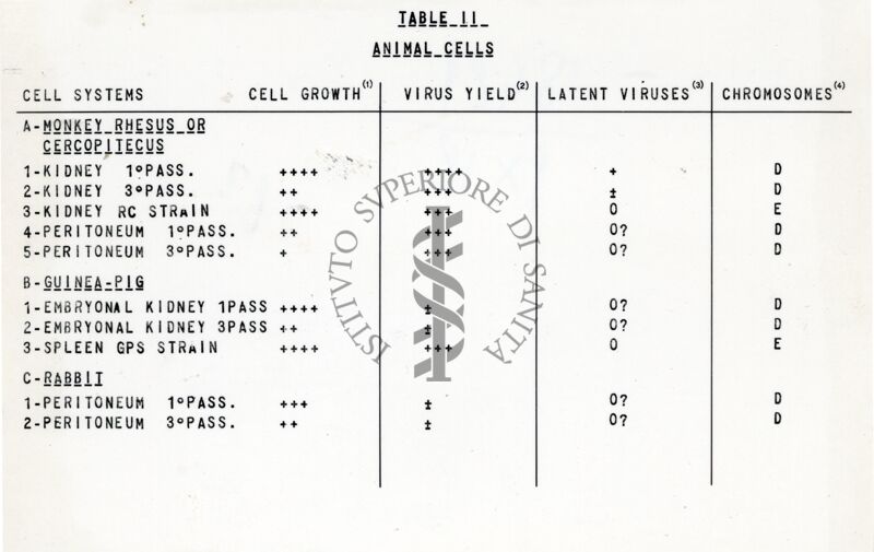 Riproduzione da copia dattilografica