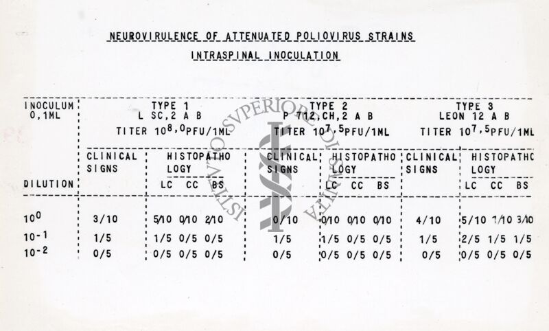 Riproduzione da copia dattilografica