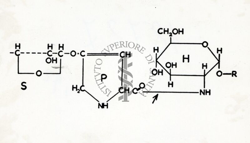 Formula chimica ricettori virus influenza