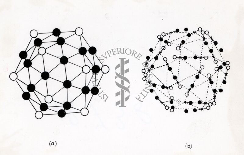 Schema cristalli virus