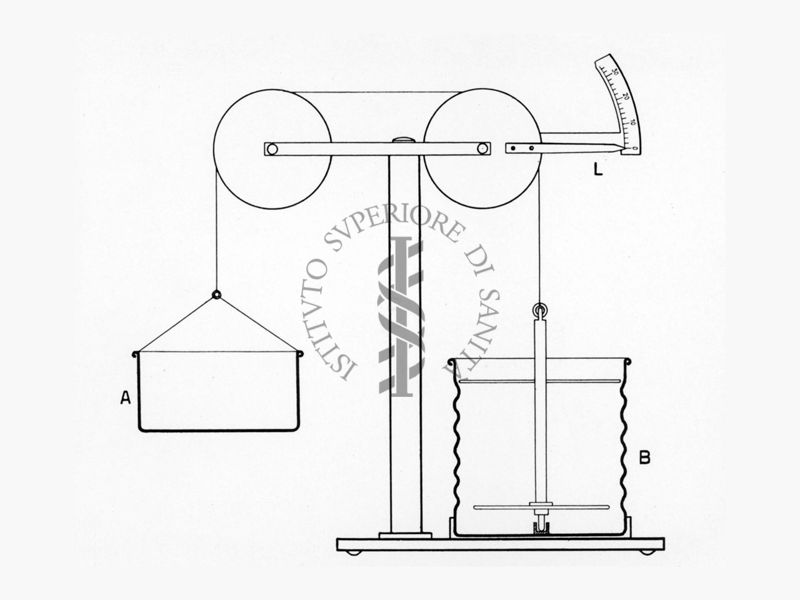 disegno di un Pectinometro