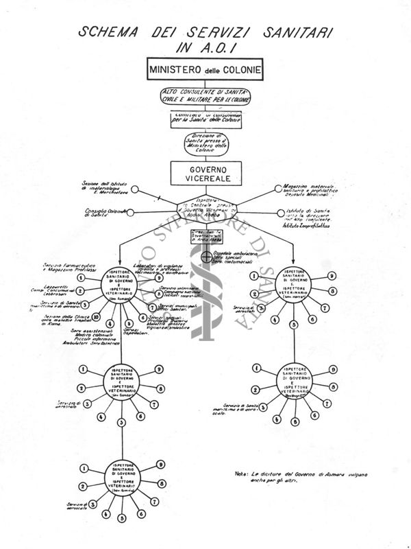 Schema dei Servizi Sanitari in A.O.I.