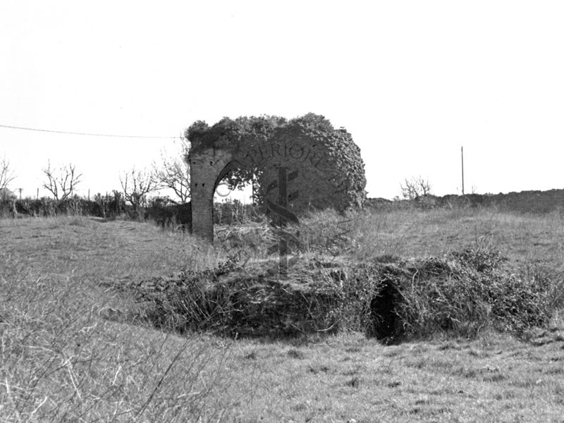 Circo Massenzio con ruderi di un arco con vegetazione cresciuta sopra