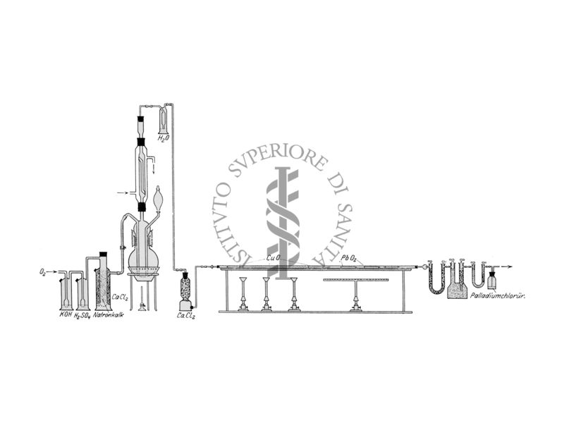 Apparecchio per la determinazione del carbonio