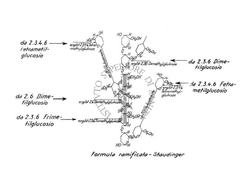 Formula ramificata - Staudinger